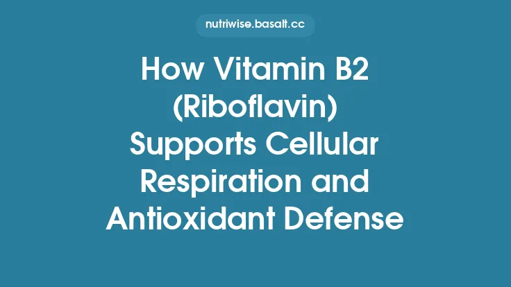 How Vitamin B2 (Riboflavin) Supports Cellular Respiration and Antioxidant Defense Thumbnail