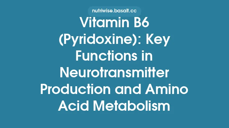 Vitamin B6 (Pyridoxine): Key Functions in Neurotransmitter Production and Amino Acid Metabolism Thumbnail