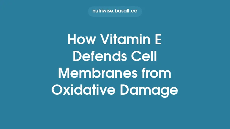 How Vitamin E Defends Cell Membranes from Oxidative Damage Thumbnail